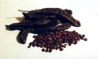 carob pods & seeds